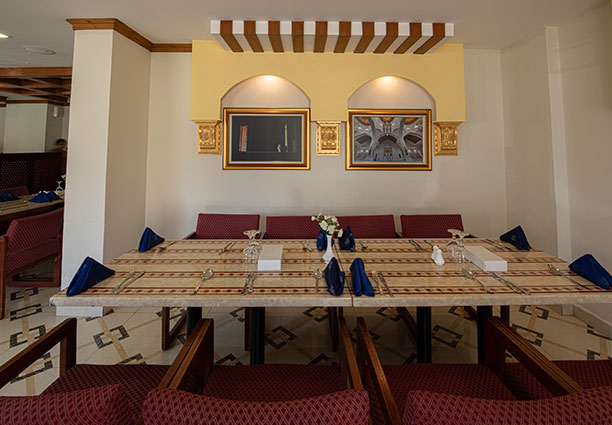 International Investment Plus Llc