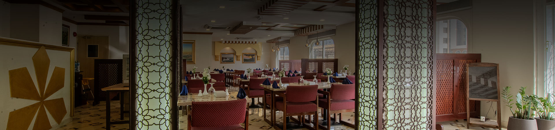 International Investment Plus Llc