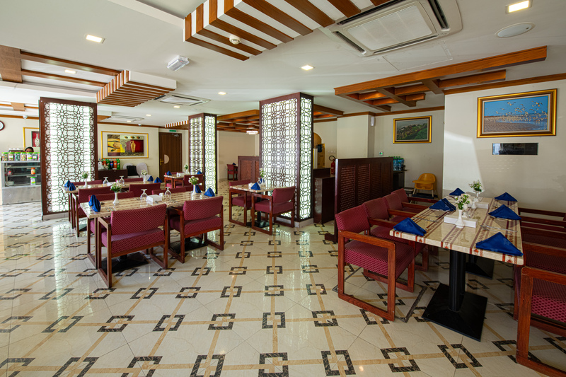 International Investment Plus Llc