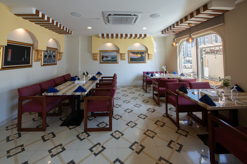 International Investment Plus Llc