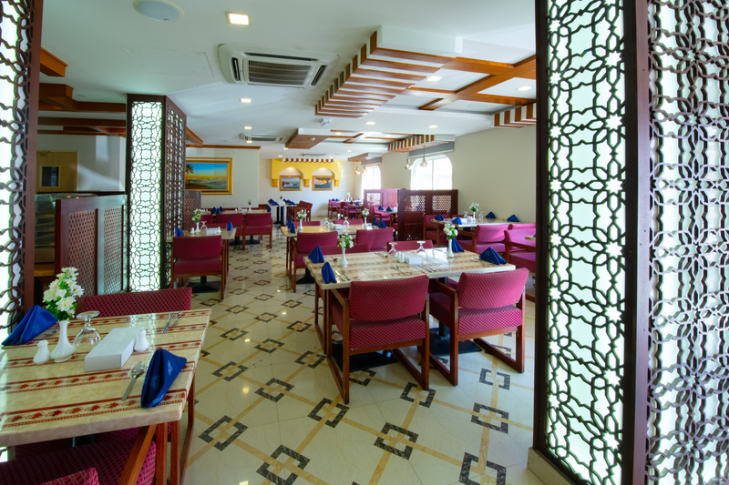 International Investment Plus Llc