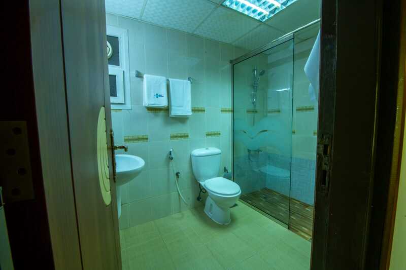 International investment plus llc