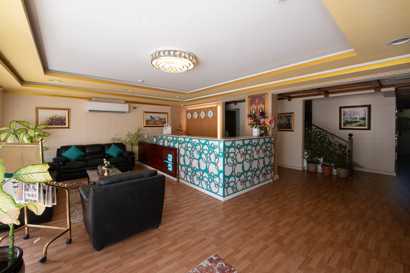 International Investment Plus Llc