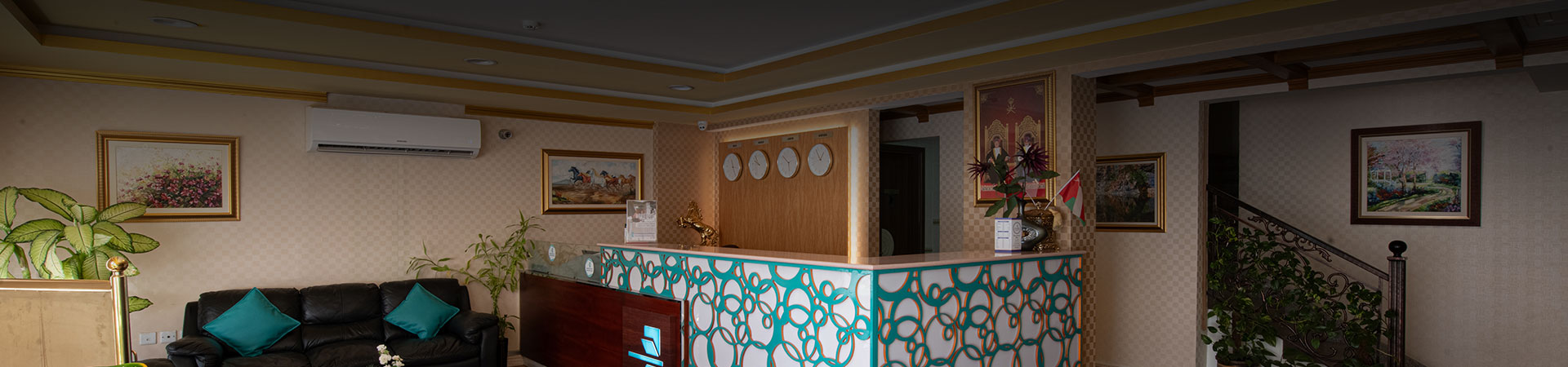 International Investment Plus Llc